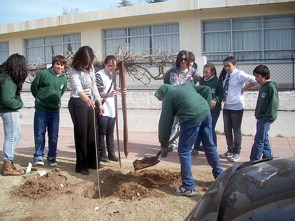 Alumnos del Félix Romero plantaron arboles en su escuela por el Día del Árbol 